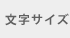 文字サイズ